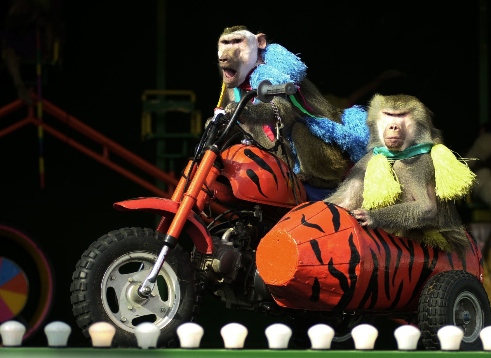 Salem Fair